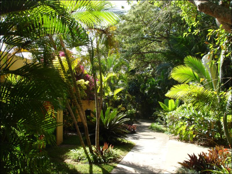 DSC01714_natadola beach resort